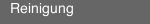 Reinigung